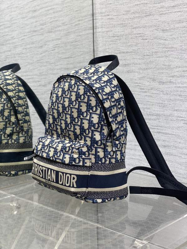 D10r travel backpack