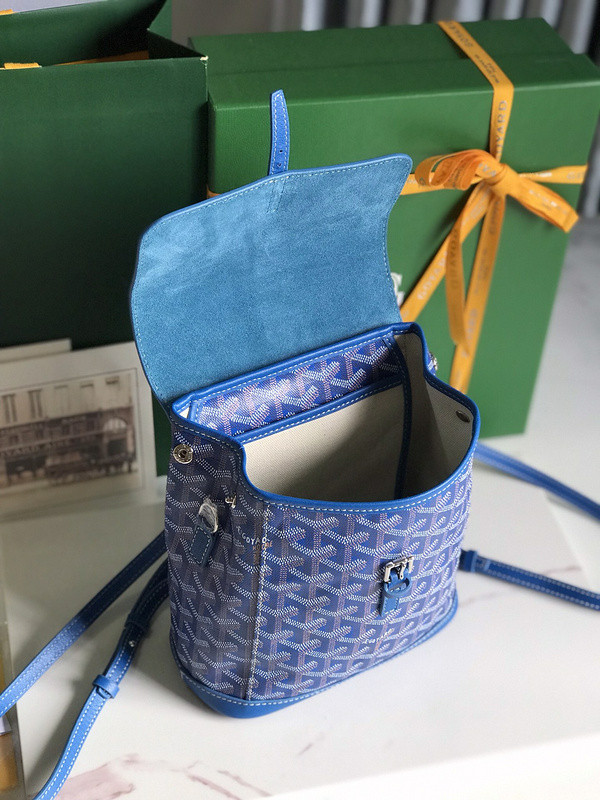 G09ard alpin shop mini backpack