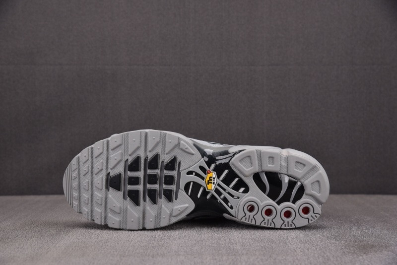 Nike Air Max Plus TN 