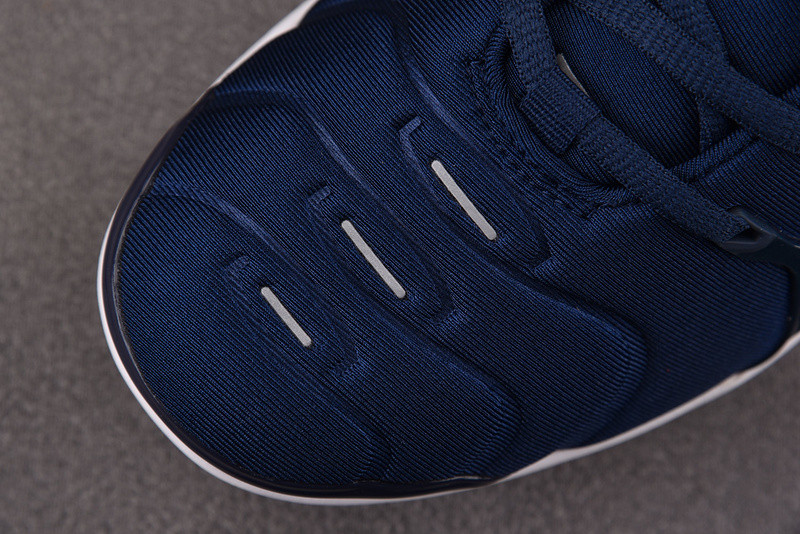 Nike Air VaporMax Plus