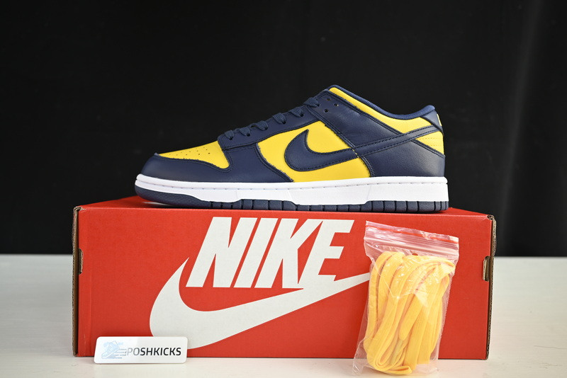 NIKE DUNK LOW MICHIGAN DD1391-700