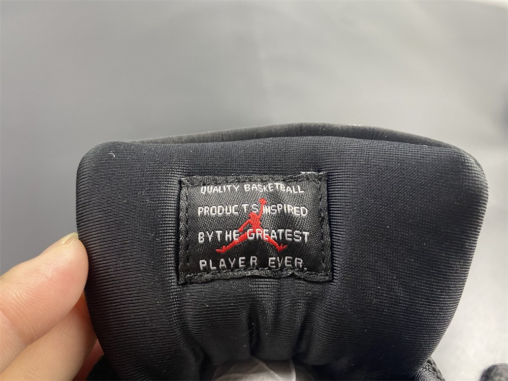 AIR JORDAN 11 “ANIMAL INSTINCT” AR0715-010