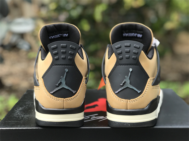 Jordan 4 Retro Fossil (W) - AQ9129-200