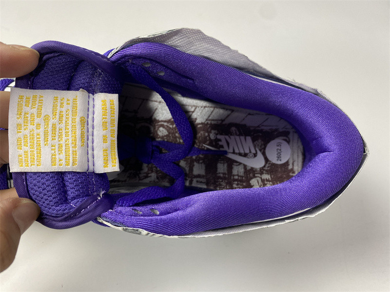 NIKE SB DUNK LOW “FLIP THE OLD SCHOOL” J4636-100