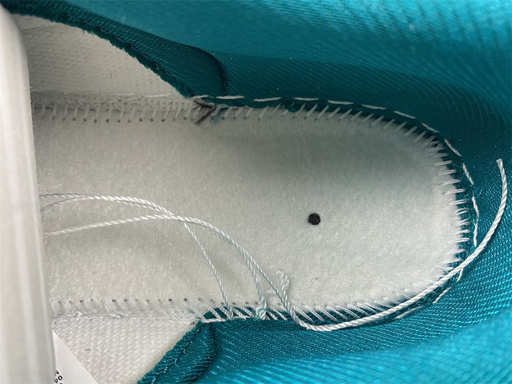 Nike Dunk Low Ocean (W) DV3029-100