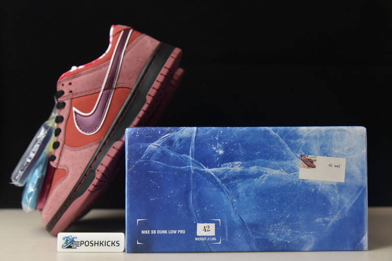 Nike Dunk SB Low Red Lobster 313170-661