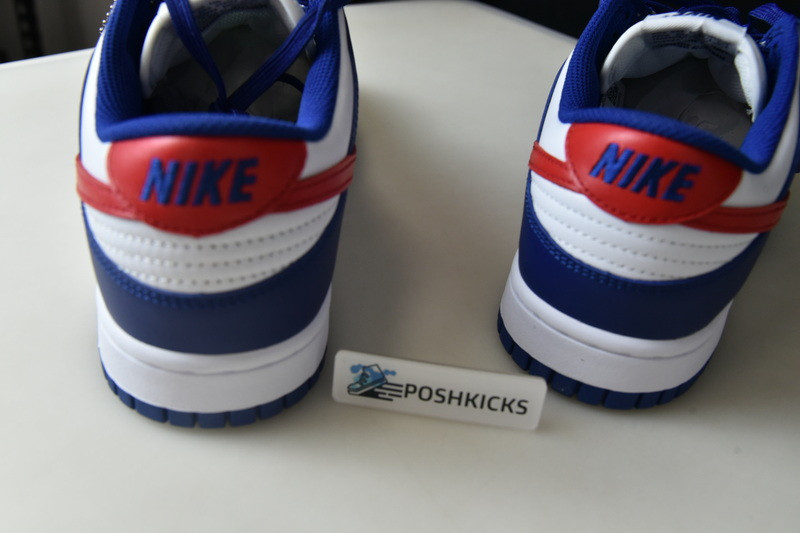 Nike Dunk Low USA (W) DD1503-119