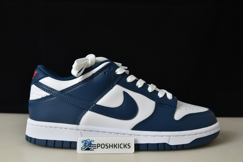 Nike dunk SB Low Retro Valerian Blue DD1391-400