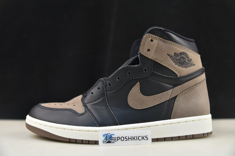 Air Jordan 1 Retro High OG "Palomino" DZ5485-020