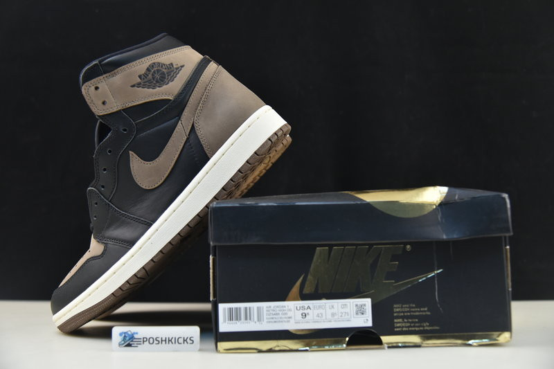 Air Jordan 1 Retro High OG "Palomino" DZ5485-020