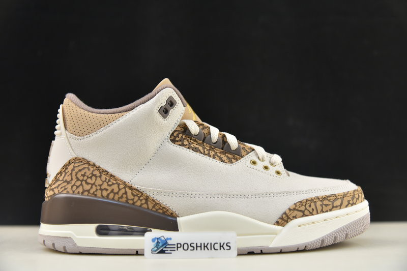 Air Jordan 3 Palomino CT8532-102