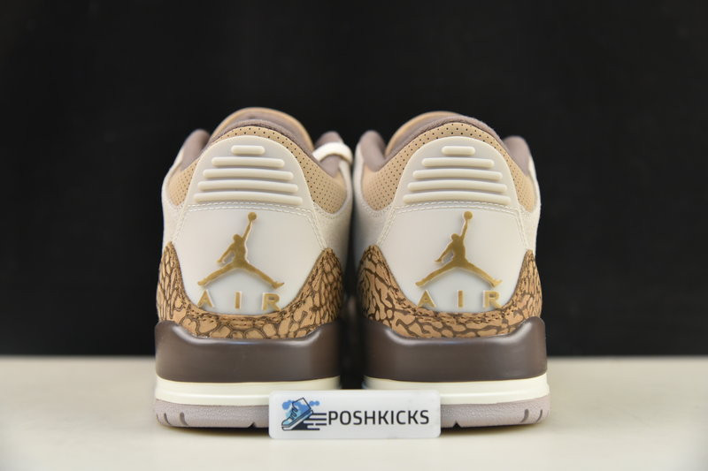 Air Jordan 3 Palomino CT8532-102