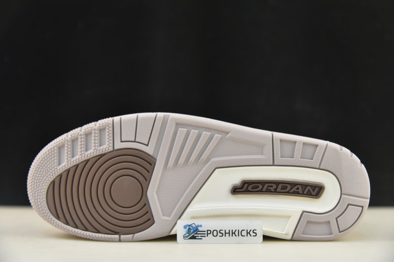 Air Jordan 3 Palomino CT8532-102