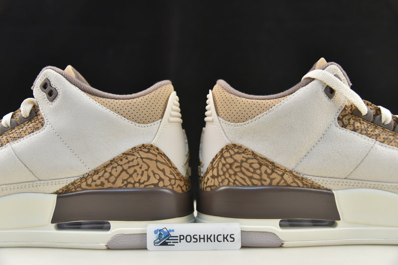Air Jordan 3 Palomino CT8532-102