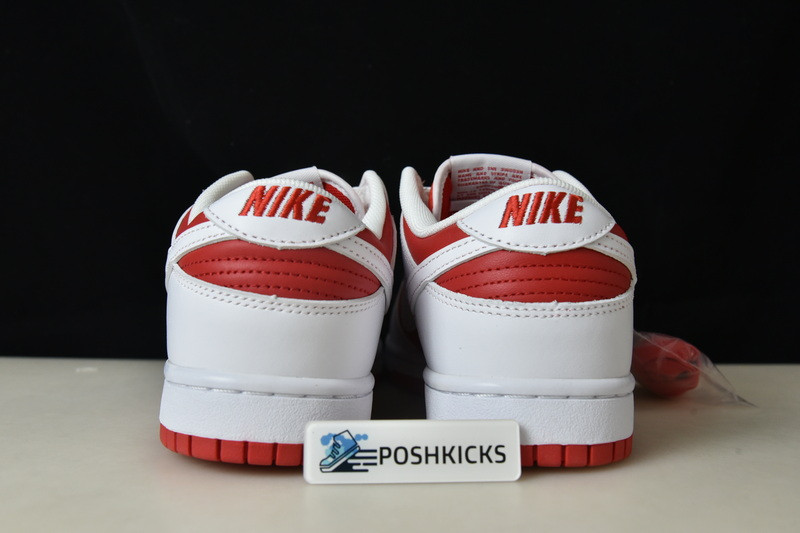 Nk Dunk Low “University Red” DD1391-600