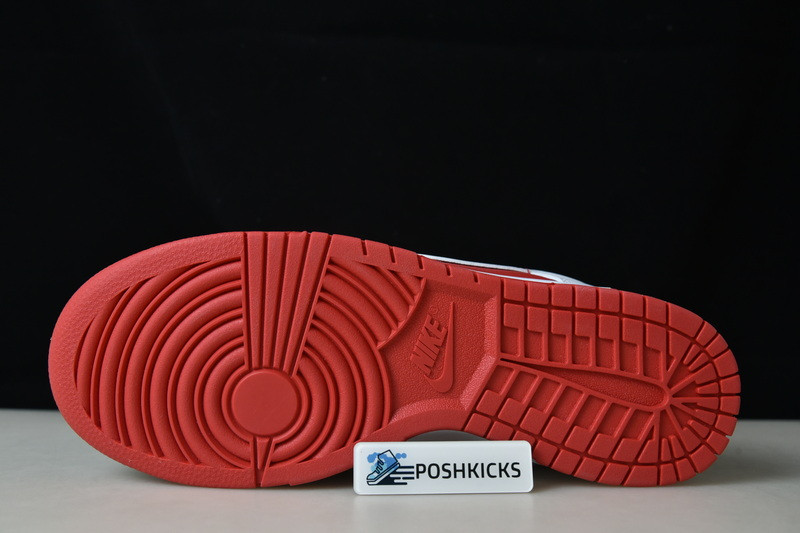 Nk Dunk Low “University Red” DD1391-600