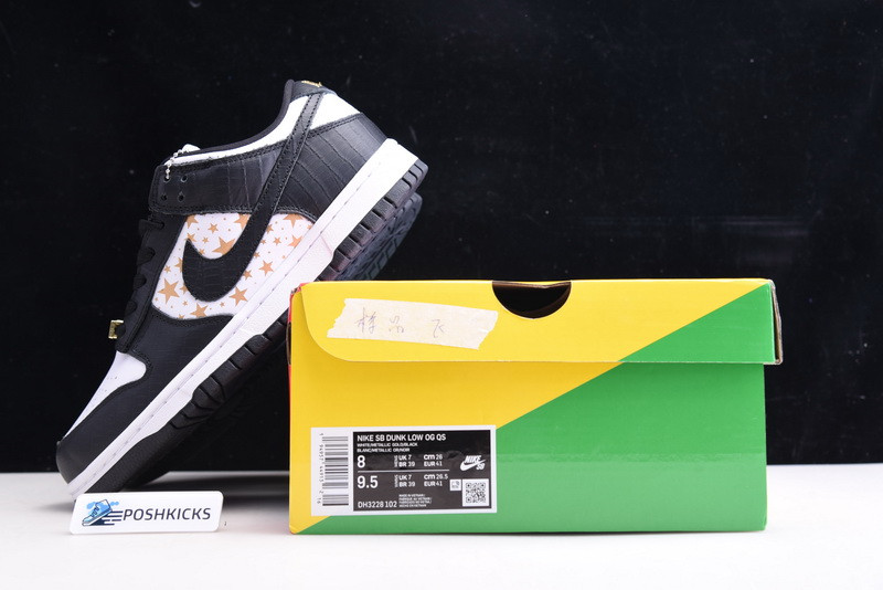 Nike SB Dunk Low DH3228-102