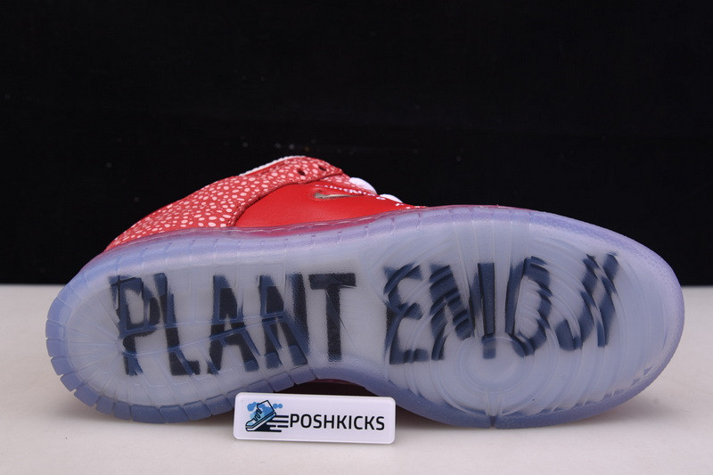 NIKE SB DUNK LOW STINGWATER MAGIC MUSHROOM DH7650-600