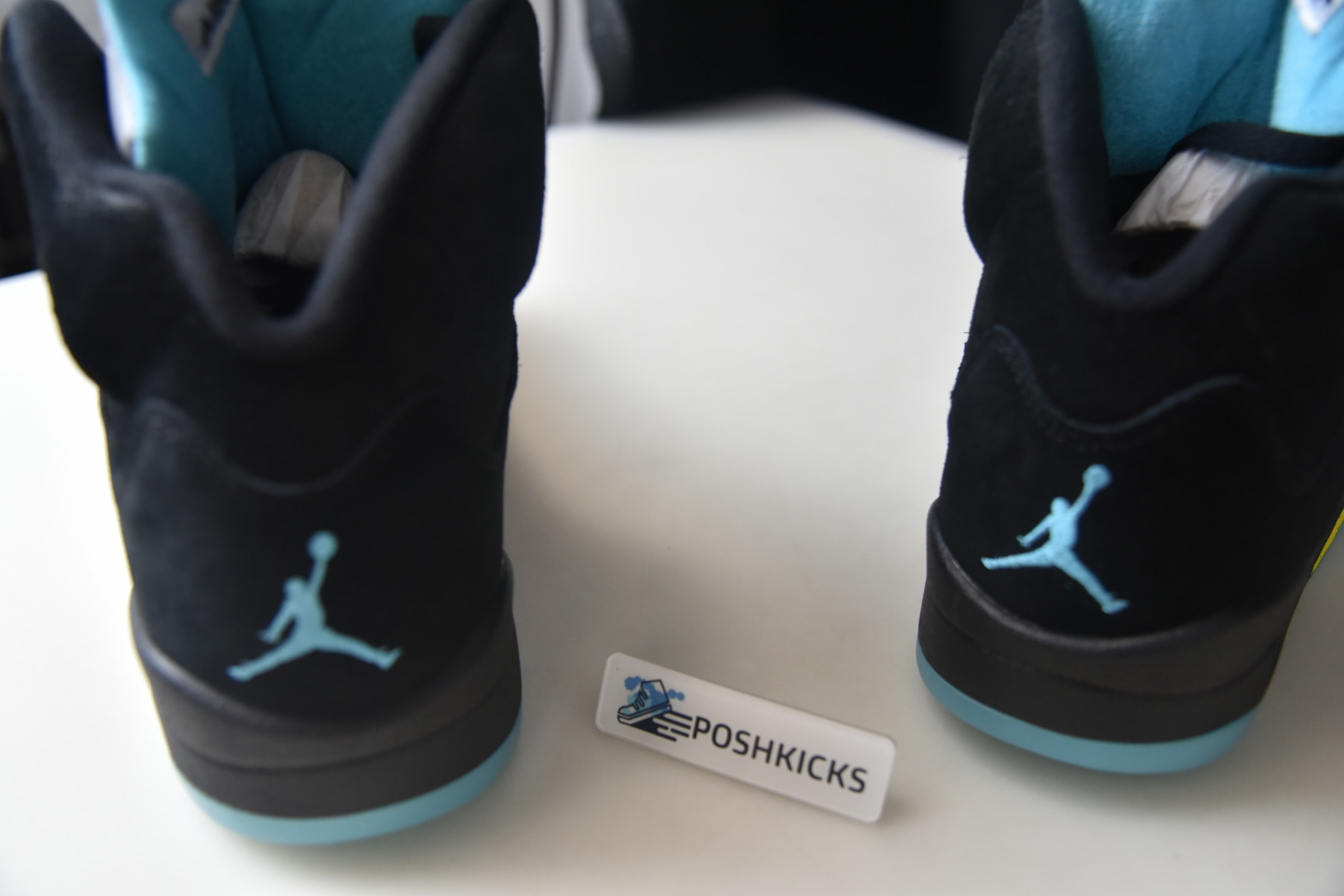 AIR JORDAN 5 "AQUA" DD0587-047