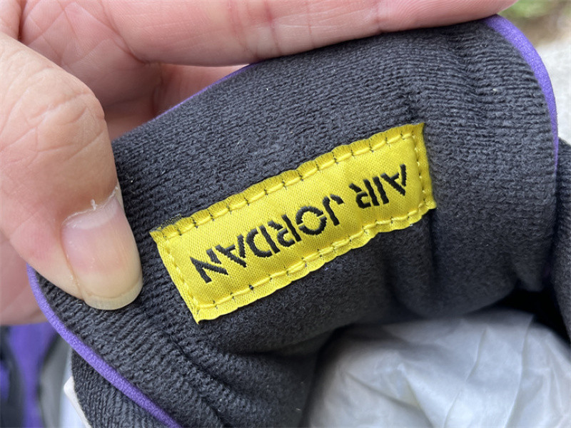 Air Jordan 4 "Imperial Purple" FV5029-500