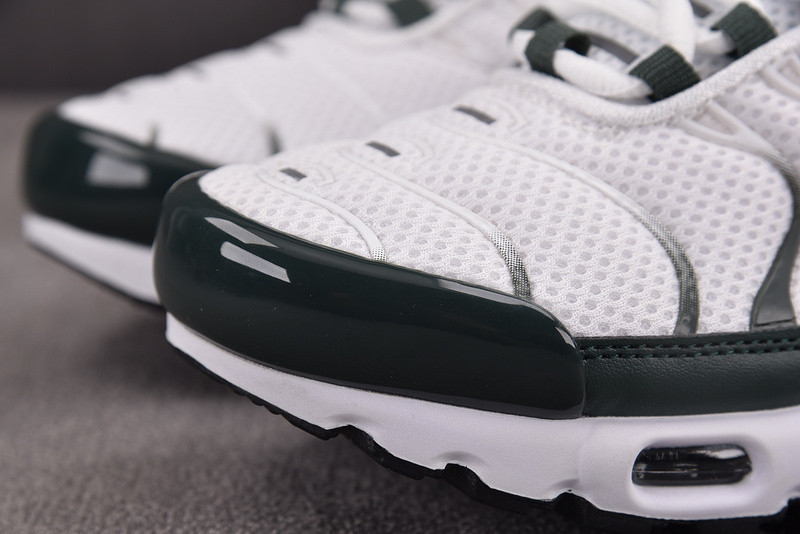 Nike Air Max Plus Premium 