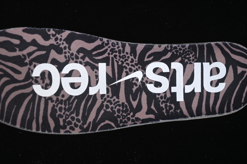 Nike SB Dunk Low Arts-Rec Men