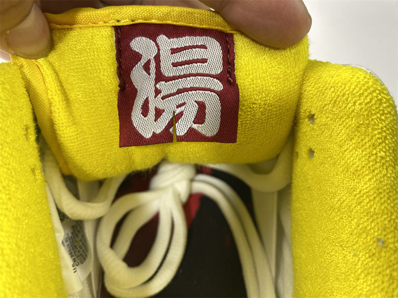 How the FTC x Nike SB Dunk Low Looks On-Feet DH7687-400