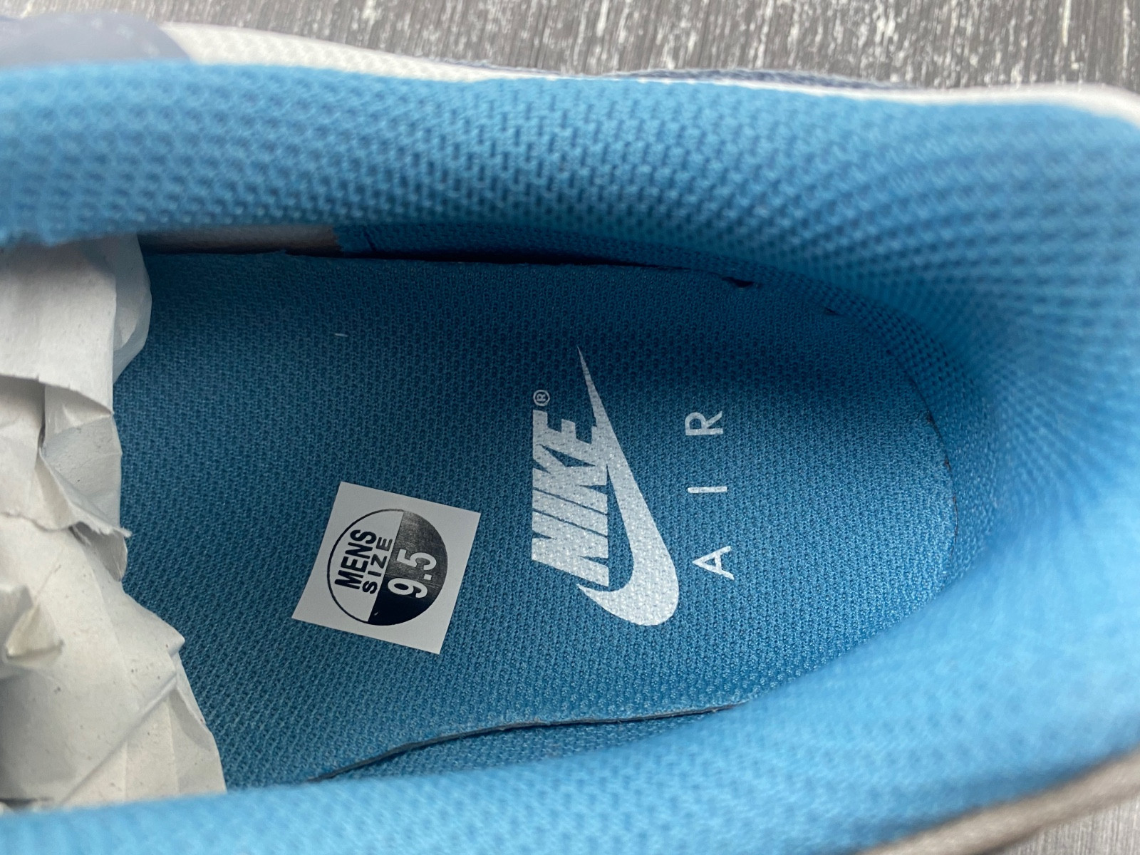 Air Max 1 Noise Aqua and Cool Grey FB9660-001