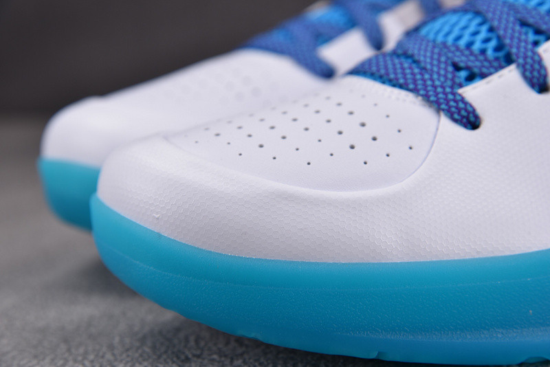 Nike Kobe 4 Draft Day Hornets Men