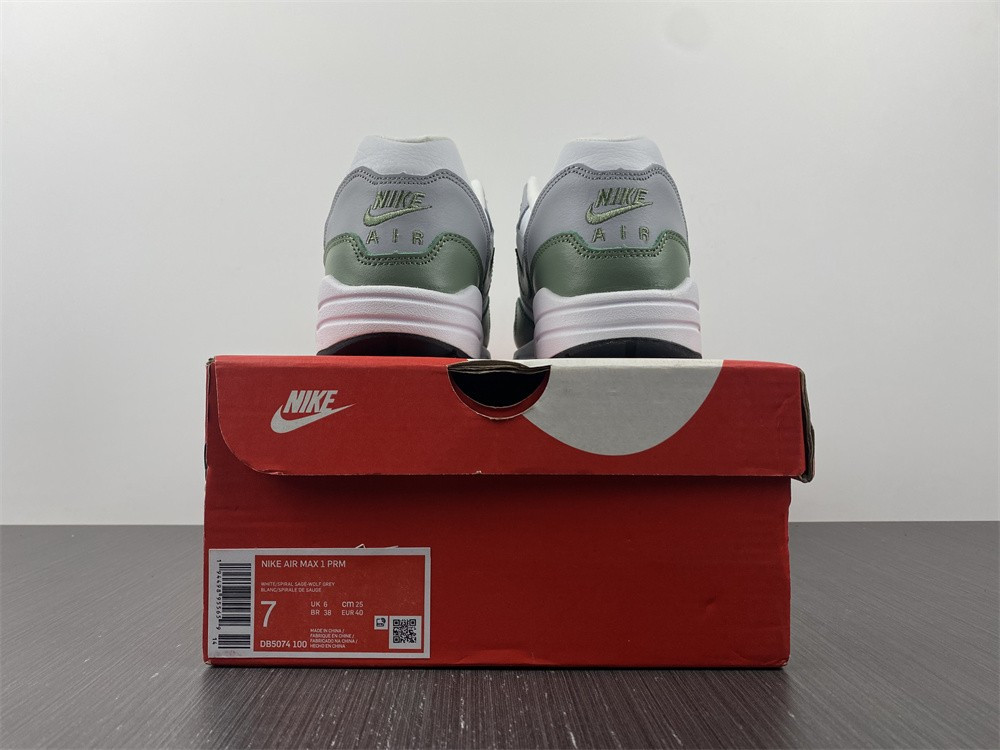 NIKE AIR MAX 1 SPIRAL SAGE DB5074-100
