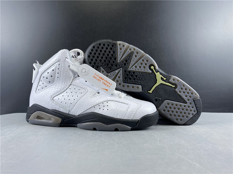 Air Jordan 6 GS Alligator 384665-110
