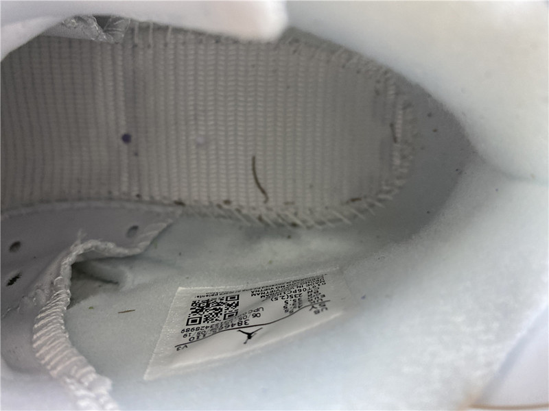 Air Jordan 6 GS Alligator 384665-110