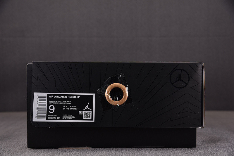 Titan X Jordan 23 Retro SP