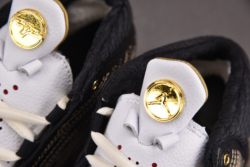 Titan X Jordan 23 Retro SP